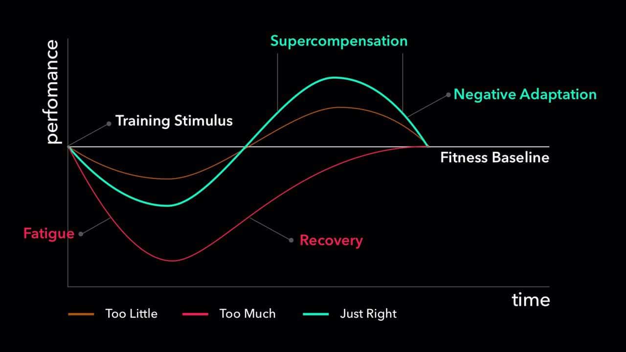 Physical capacity. Supercompensation. График гиперкомпенсации. Графики гиперкомпенсации. Гиперкомпенсация.